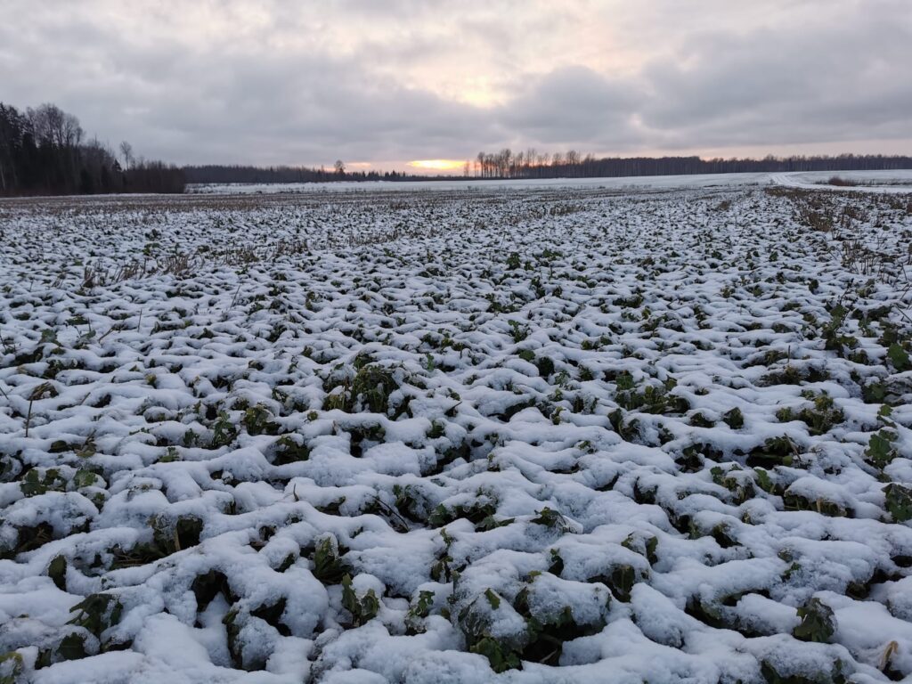 Foto autore Ilze Skudra