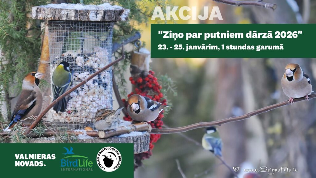 Akcija “Ziņo par putniem dārzā 2026”.