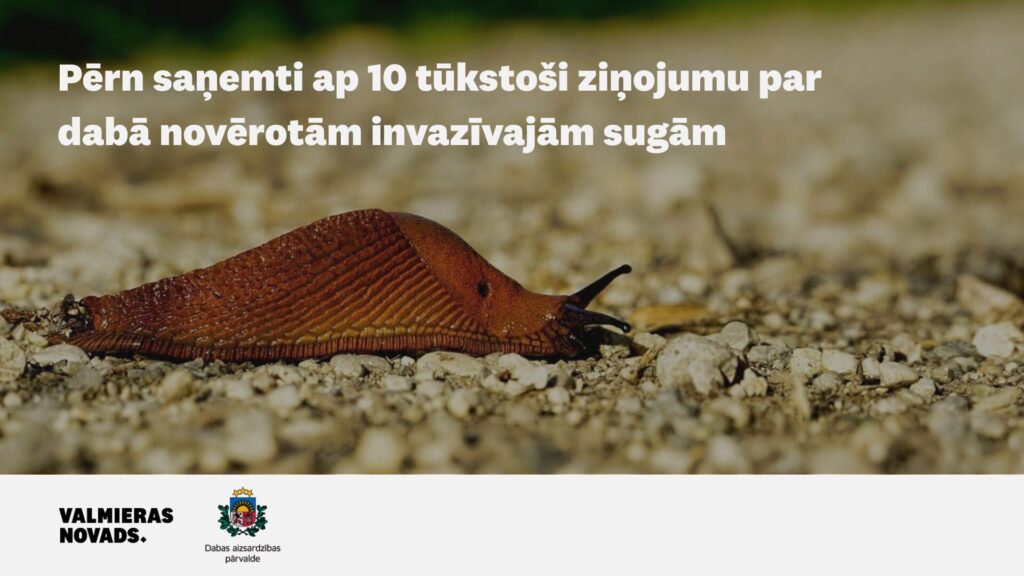 Pērn saņemti ap 10 tūkstoši ziņojumu par dabā novērotām invazīvajām sugām