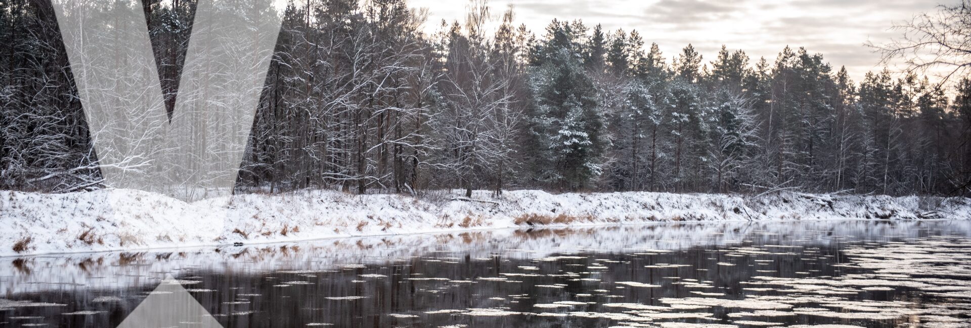 Gauja ziemā Valmierā ar apsnigušiem kokiem