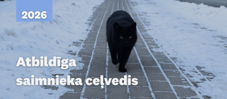 Atbildīga saimnieka ceļvedis_baneris. Attēlā kaķis iet pa bruģētu celiņu, kam abās pusēs sniegs.