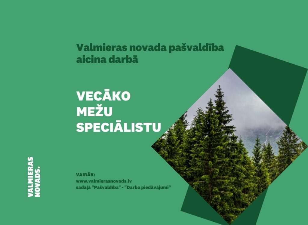 Vecāko mežu speciālista vakance