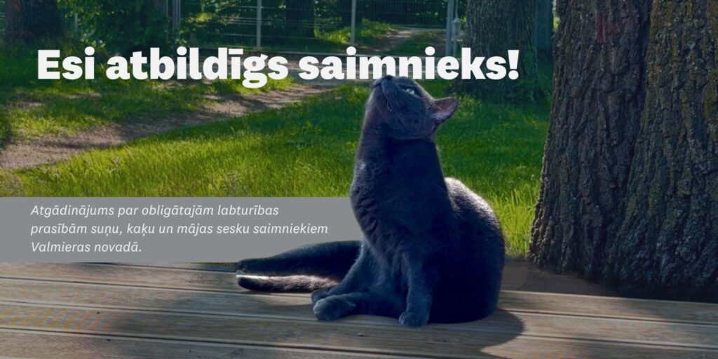 Baneris - atbildīga saimnieka ceļvedis. Attēlā pelēks kaķis