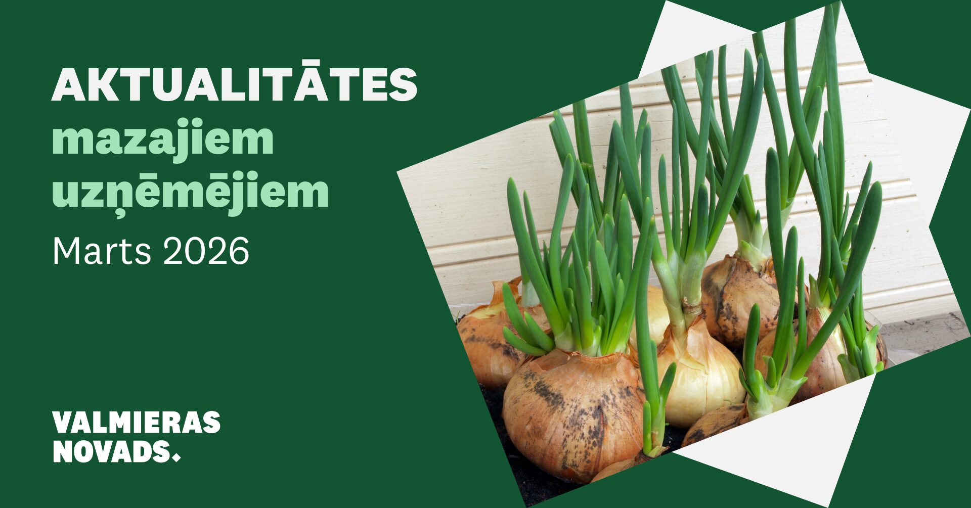 Aktualitātes mazajiem uzņēmējiem Marts 2026