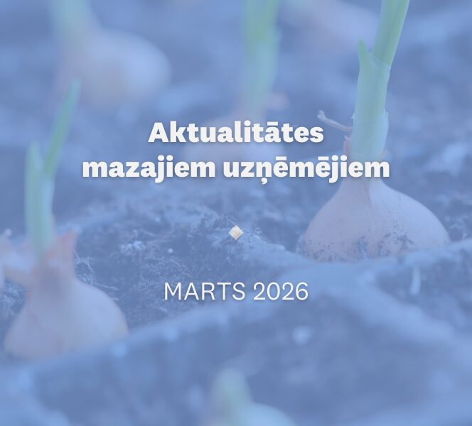 Aktualitātes mazajiem uzņēmējiem