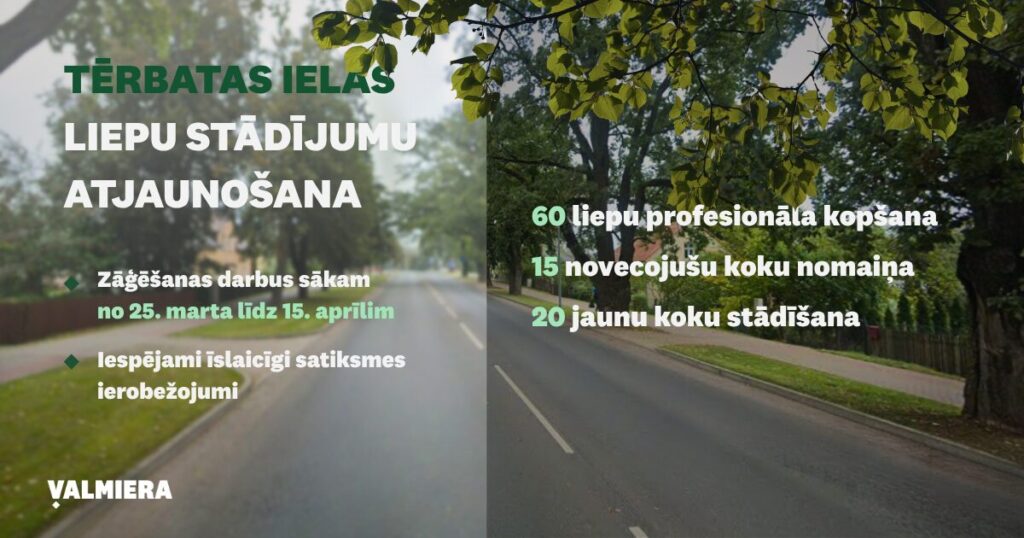 Tērbatas ielas liepu stādījumu atjaunošana