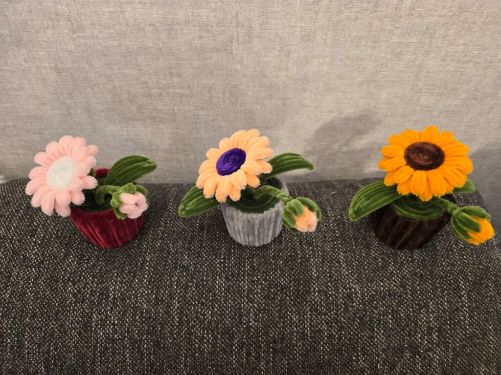 Pieaugušie aicināti pieteikties dalībai meistarklasē “Šenila stieplīšu ziedi”