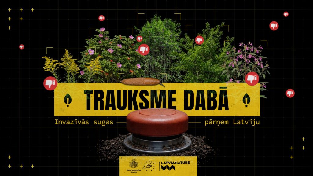 Trauksme dabā