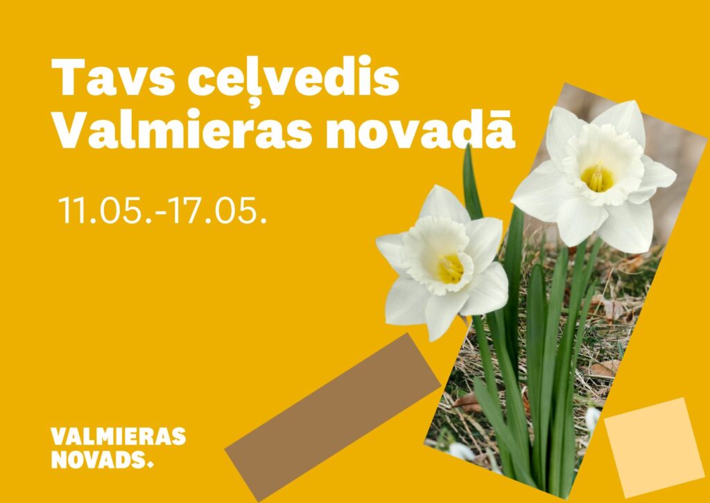 Vizuālis ar tekstu