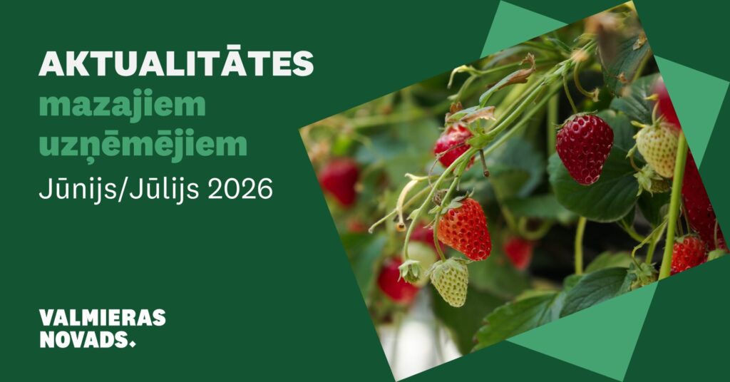 Aktualitātes mazajiem uzņēmējiem jūlijs