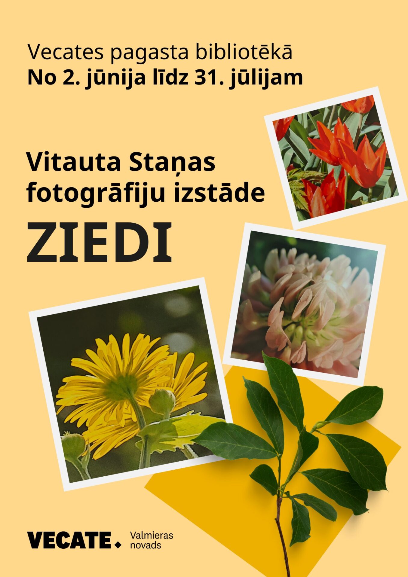 Vitauta Staņas fotogrāfiju izstāde ZIEDI