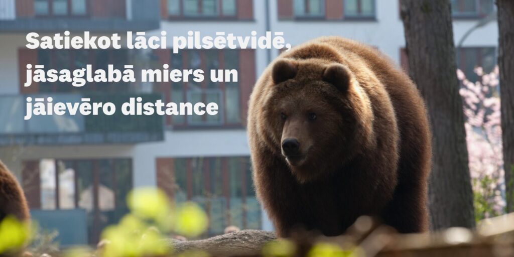 Satiekot lāci pilsētvidē, jāsaglabā miers un jāievēro distance