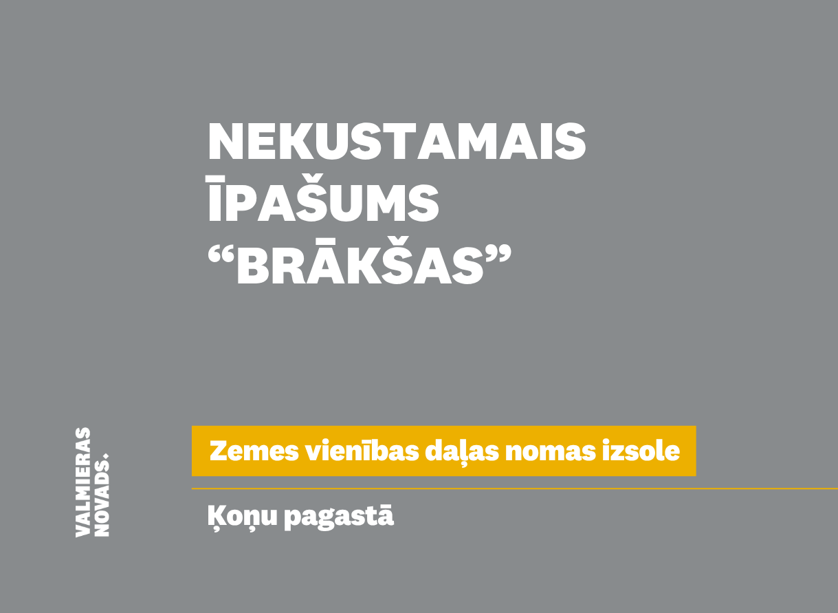 Vizuālis