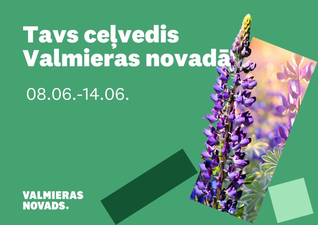 Vizuālis ar tekstu, lupīnām un Valmieras novada logo