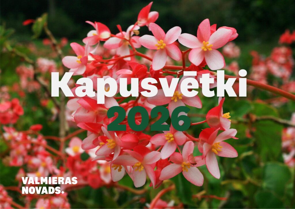 Vizuālis ar begoniju ziediem un uzrakstu "Kapusvētki 2026"