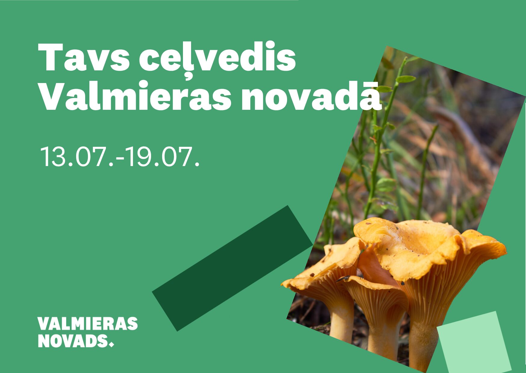 Notikuma apskata vizuālis