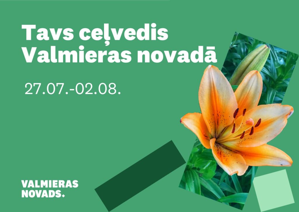 Notikuma apskata vizuālis ar datumiem