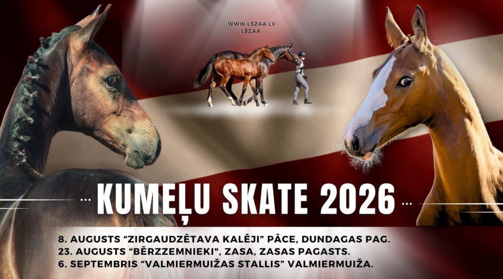 Kumeļu skate vizuālis