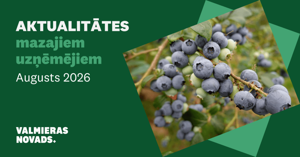 Aktualitātes mazajiem uzņēmējiem