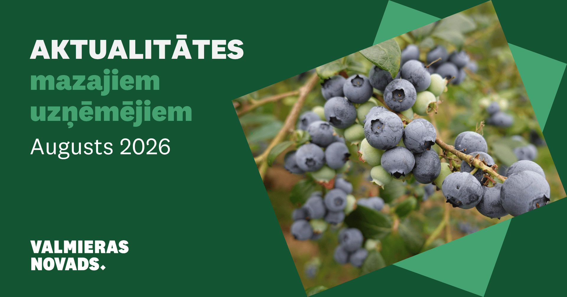 Aktualitātes mazajiem uzņēmējiem