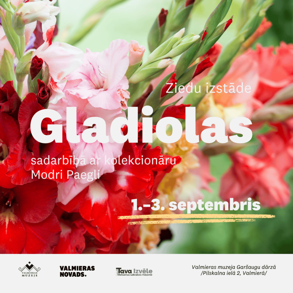 Valmieras muzeja Garšaugu dārzā būs skatāma ziedu izstāde “Gladiolas”