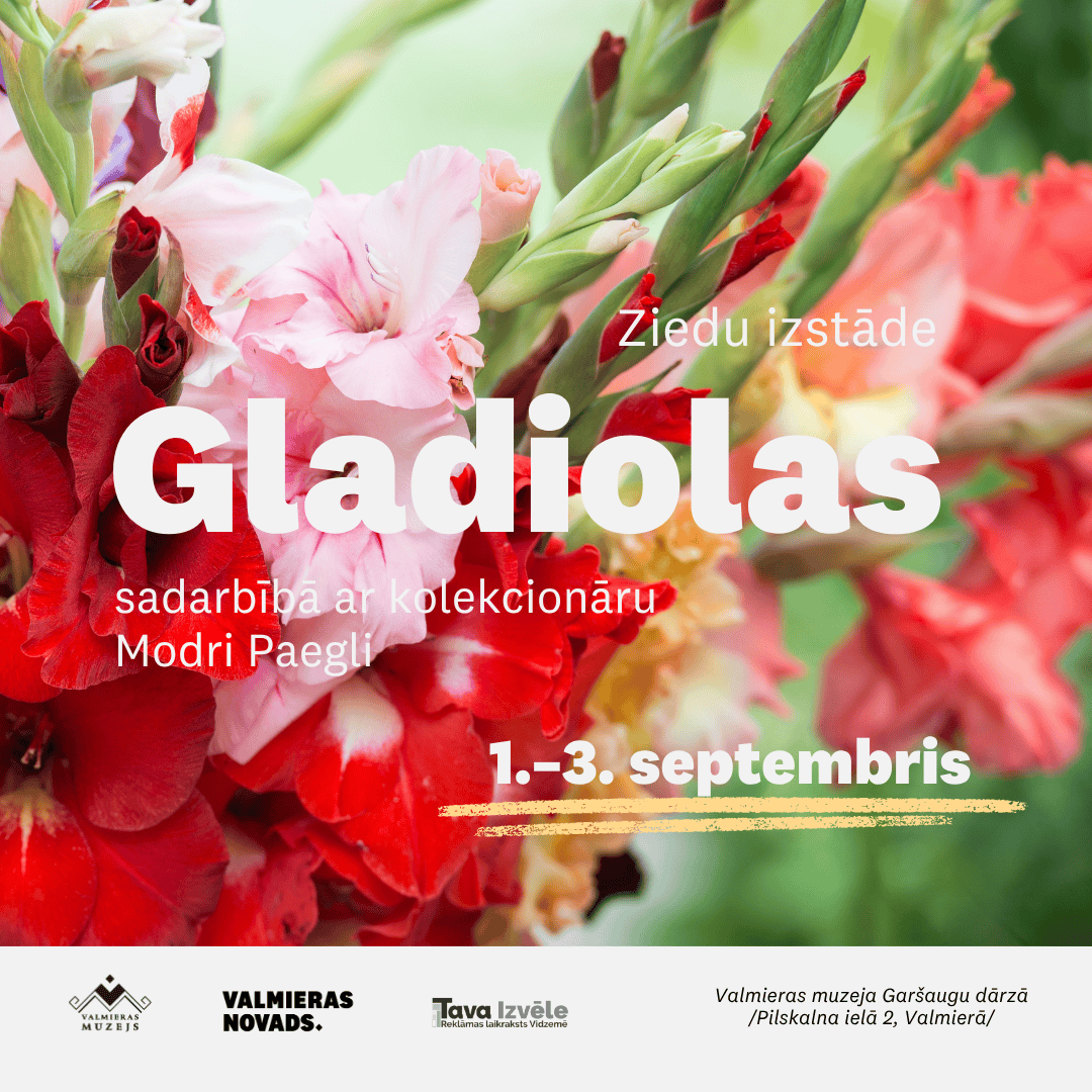 Valmieras muzeja Garšaugu dārzā būs skatāma ziedu izstāde “Gladiolas”