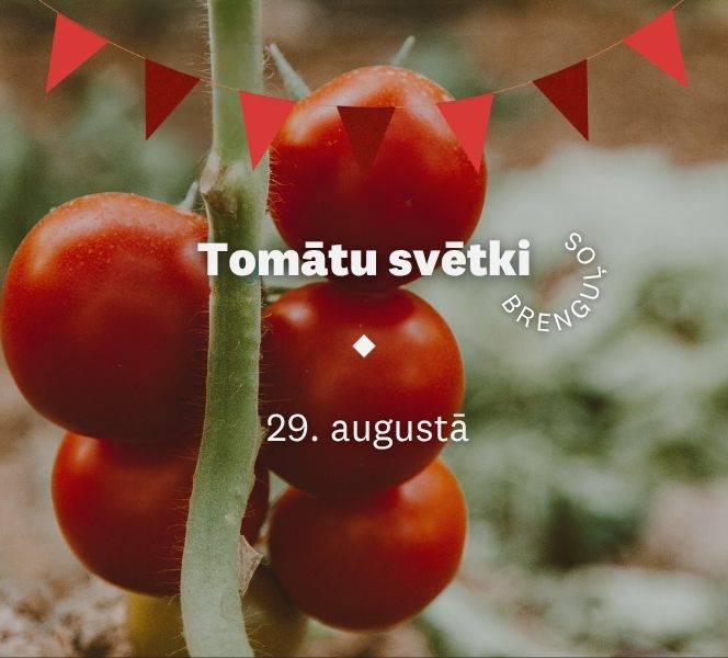Brenguļos norisināsies gadskārtējie Tomātu svētki