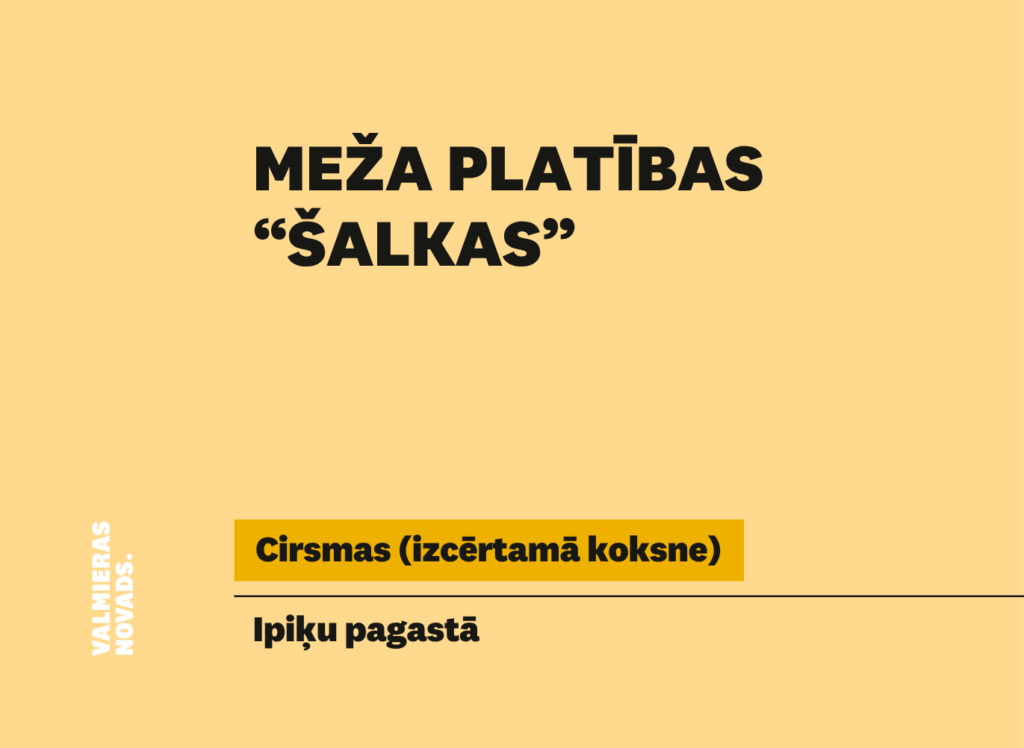 Valmieras novada pašvaldība rīko elektronisko izsoli ar augšupejošu soli kustamai mantai – izcērtamai koksnei pašvaldības īpašumā esošajās meža platībās
