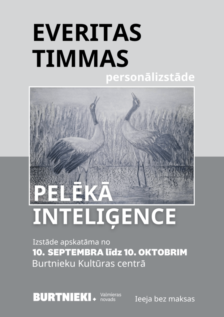 Afiša izstādei "Pelēkā inteliģence"
