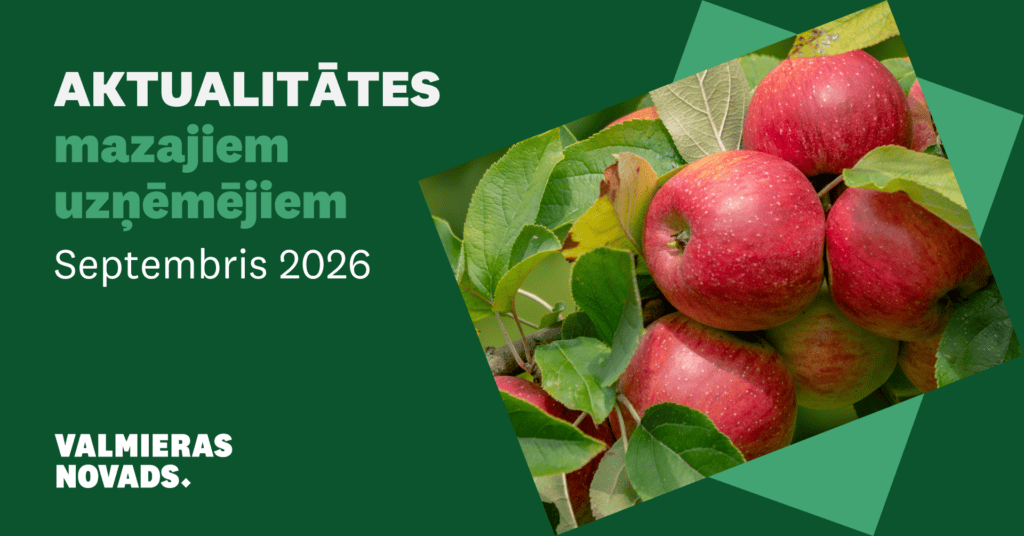 Aktualitātes mazajiem uzņēmējiem