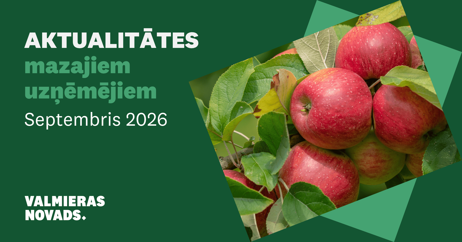 Aktualitātes mazajiem uzņēmējiem