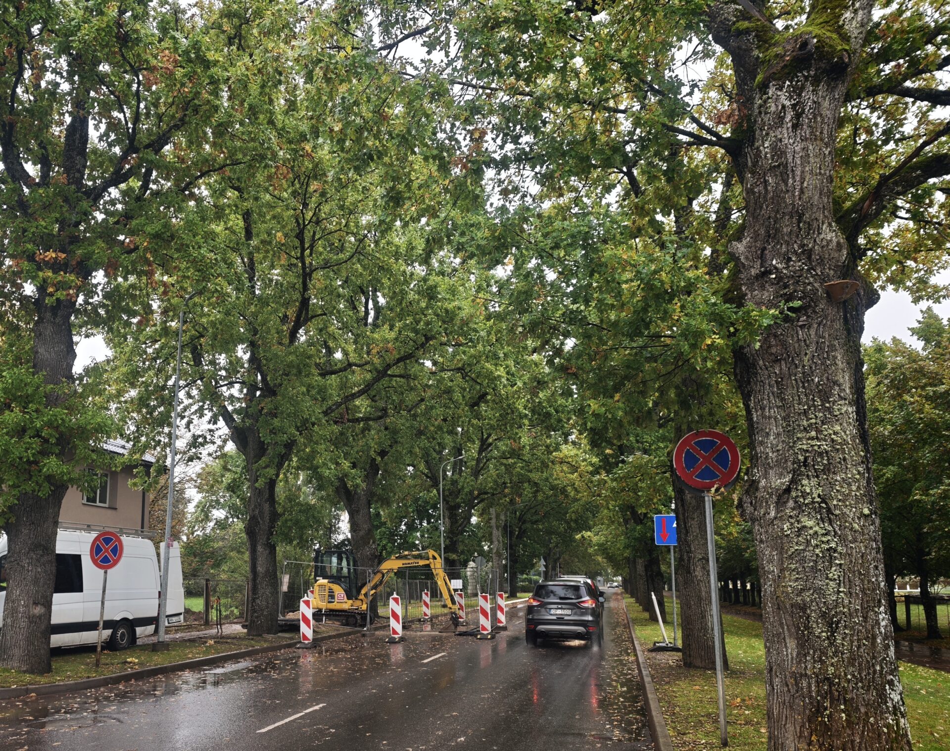 Satiksmes ierobežojumi Raiņa ielā
