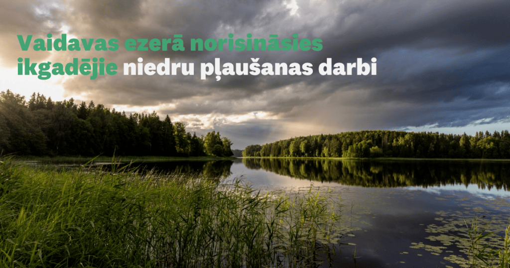 Vaidavas ezerā norisināsies ikgadējie niedru pļaušanas darbi