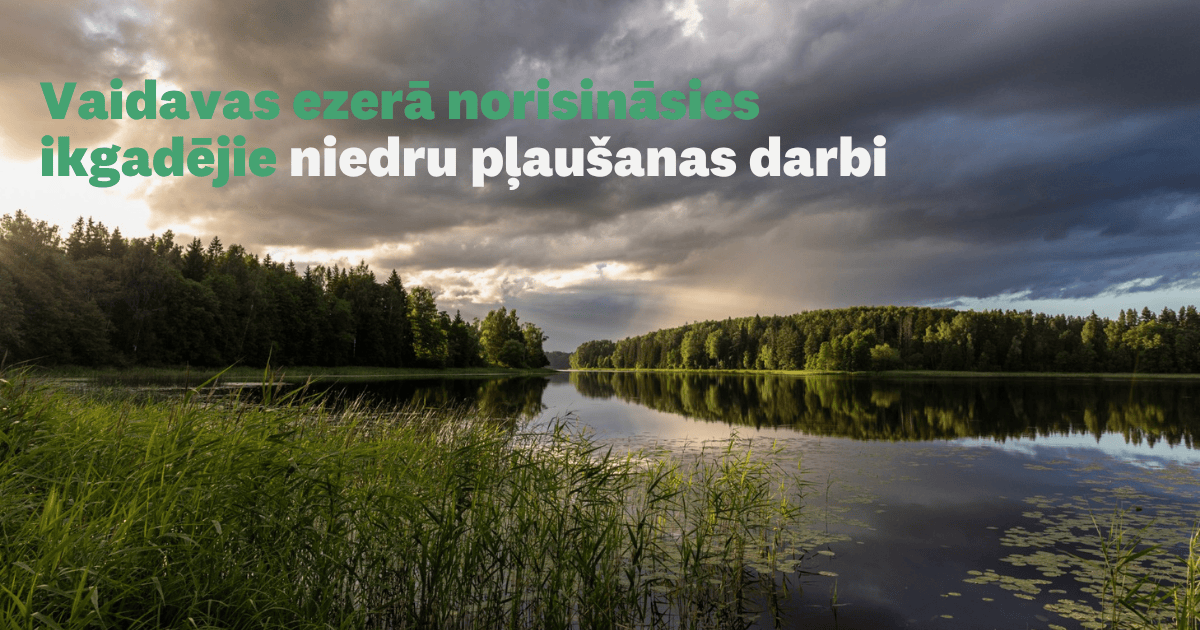 Vaidavas ezerā norisināsies ikgadējie niedru pļaušanas darbi