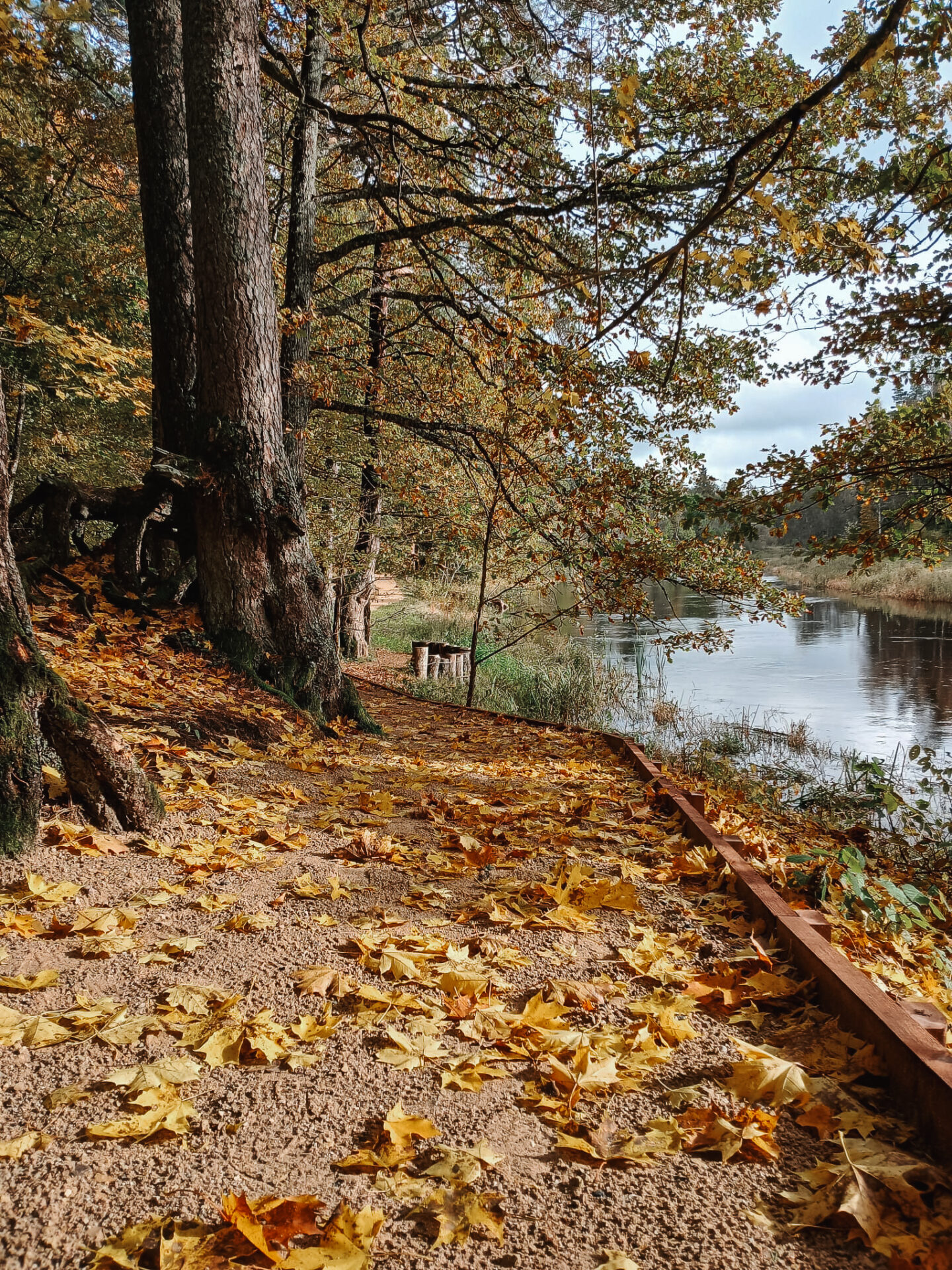 Aktualitātes Skaņākalna Dabas parkā