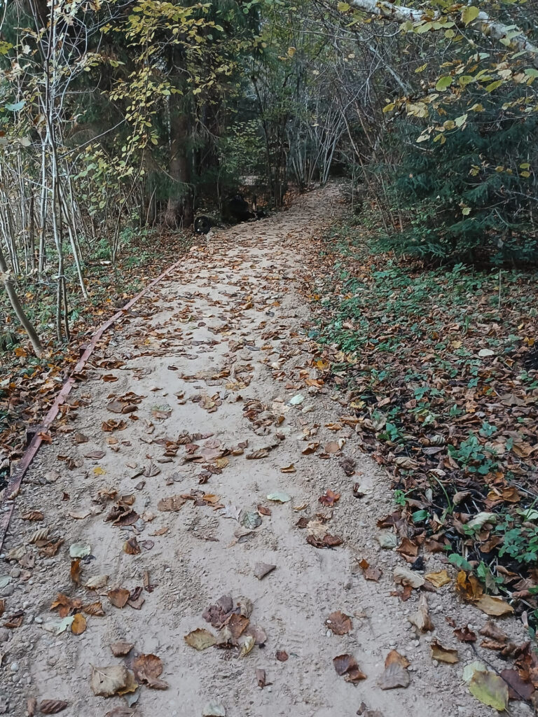 Aktualitātes Skaņākalna Dabas parkā