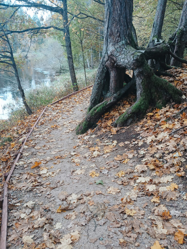 Aktualitātes Skaņākalna Dabas parkā
