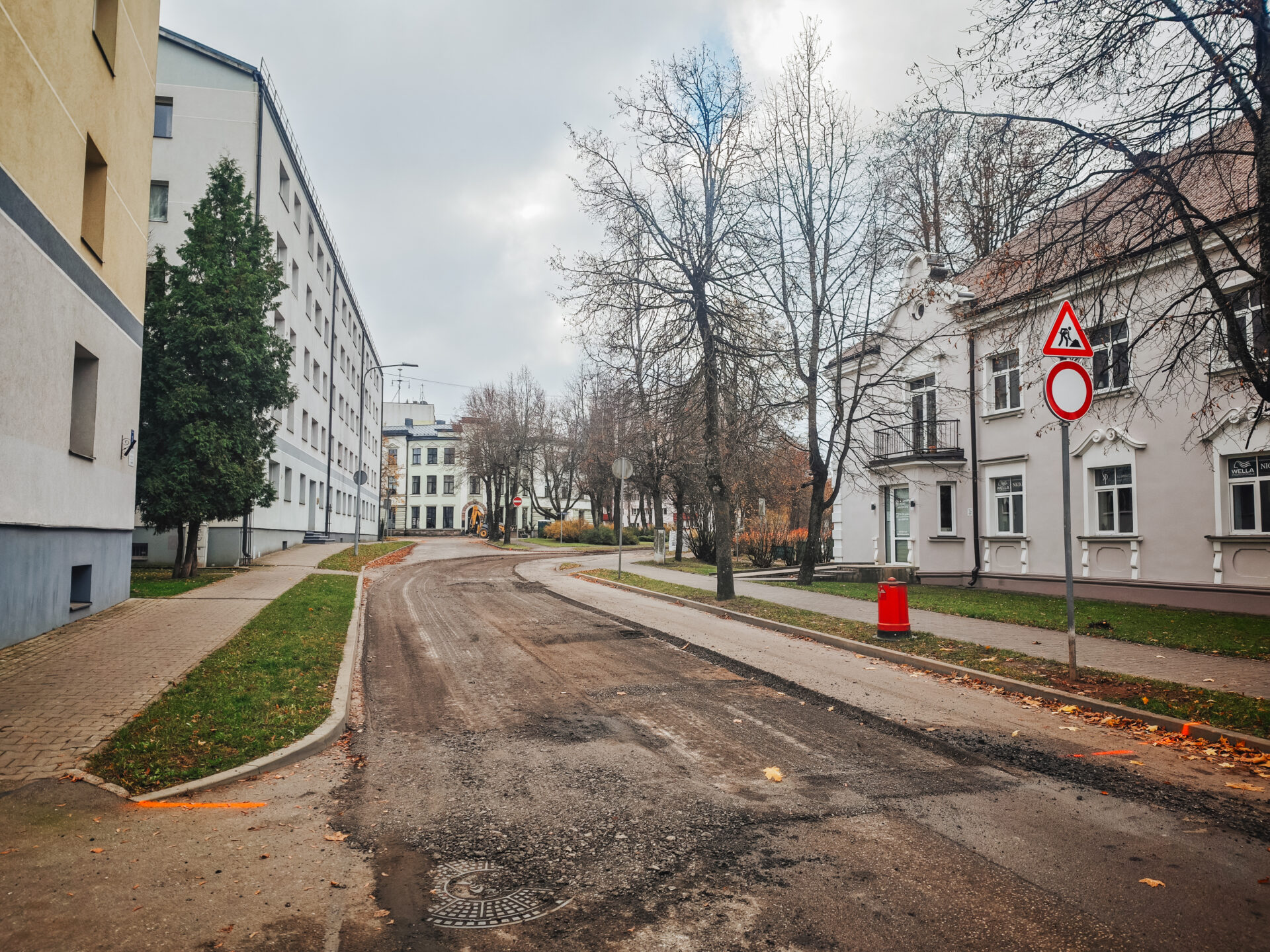Pāvila Rozīša iela